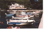 156 Skopelos.jpg